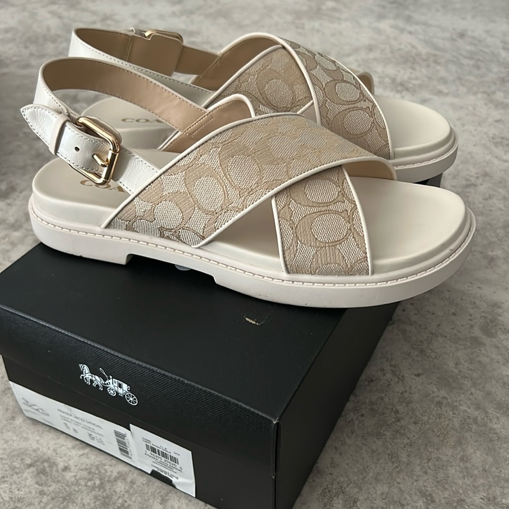 Coach slides